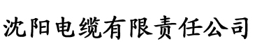 黄瓜视频APP在线观看ios电缆厂logo